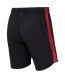 Шорты игровые JOGEL PREMIER PerFormDRY Spartak Reserve Shorts, черный/красный