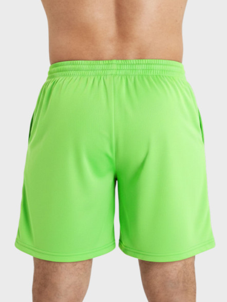 Шорты FN Stride Light Green