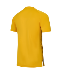 Футболка вратарская JOGEL PerFormDRY Spartak 25 GK Jersey, желтый, детский