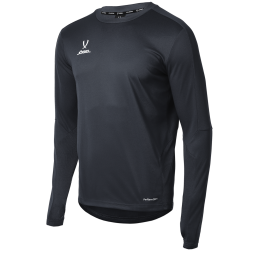 Джемпер тренировочный JÖGEL DIVISION PerFormDRY Pro Training Top, черный