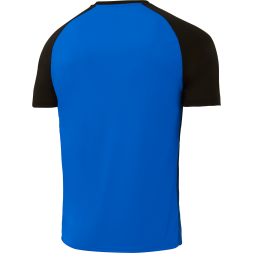 Футболка игровая JÖGEL CAMP Striped Jersey, синий/черный