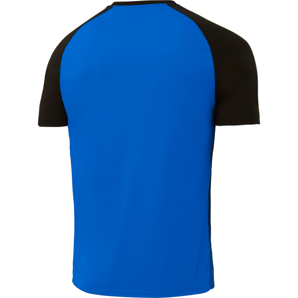 Футболка игровая JÖGEL CAMP Striped Jersey, синий/черный