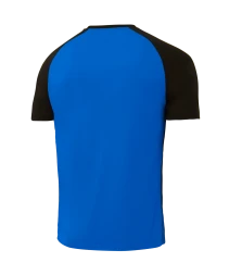 Футболка игровая JOGEL CAMP Striped Jersey, синий/черный