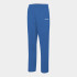Женские брюки JOMA TEAM Синий  