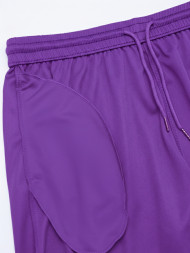 Шорты FN Stride Violet