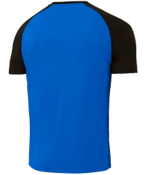 Футболка игровая JOGEL CAMP Striped Jersey, синий/черный, детский