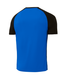 Футболка игровая JOGEL CAMP Striped Jersey, синий/черный, детский