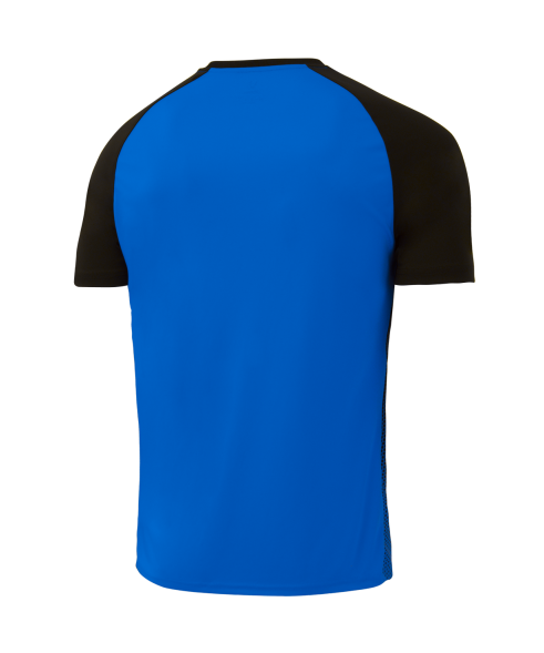 Футболка игровая JOGEL CAMP Striped Jersey, синий/черный, детский