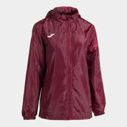 ДОЖДЕВИК БОРДОВЫЙ