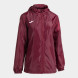 ДОЖДЕВИК БОРДОВЫЙ