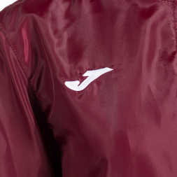 ДОЖДЕВИК БОРДОВЫЙ