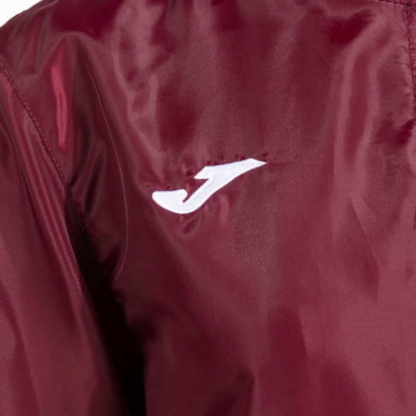 ДОЖДЕВИК БОРДОВЫЙ