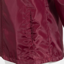 ДОЖДЕВИК БОРДОВЫЙ