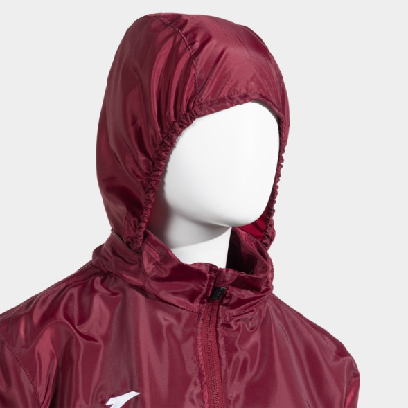 ДОЖДЕВИК БОРДОВЫЙ