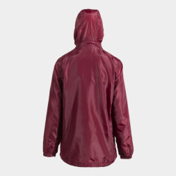 ДОЖДЕВИК БОРДОВЫЙ