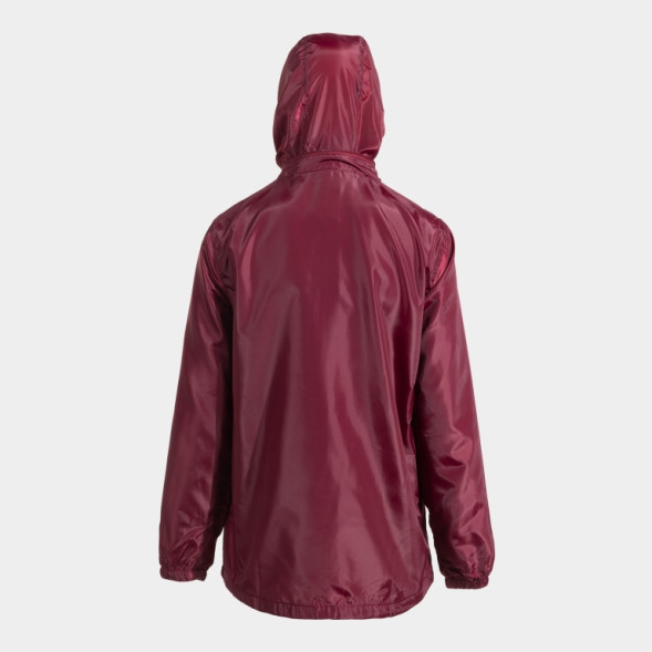 ДОЖДЕВИК БОРДОВЫЙ