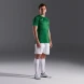 Игровая футболка JOMA TOLETUM V  